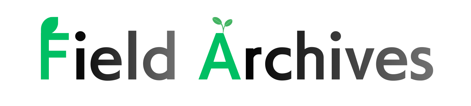 フィールドアーカイブス